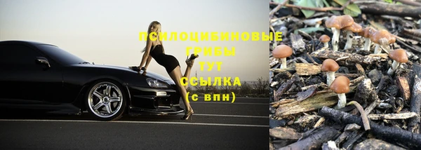 скорость Алексеевка