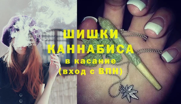 молекула духа Алзамай