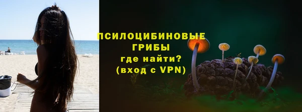 молекула духа Алзамай