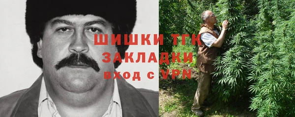 молекула духа Алзамай