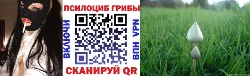 Галлюциногенные грибы ЛСД Нижние Серги